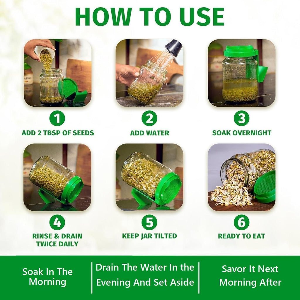 Sprouting Jar
