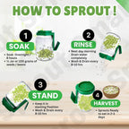 Sprouting Jar