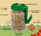 Sprouting Jar