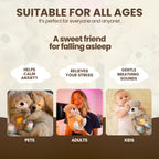 Breathing Teddy Bear with Soothing Music, Comfort Plush